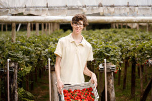 Boy with cerebral palsy showing a box full of harvested organic strawberries
