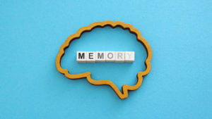 Brain and erasing the word memory.